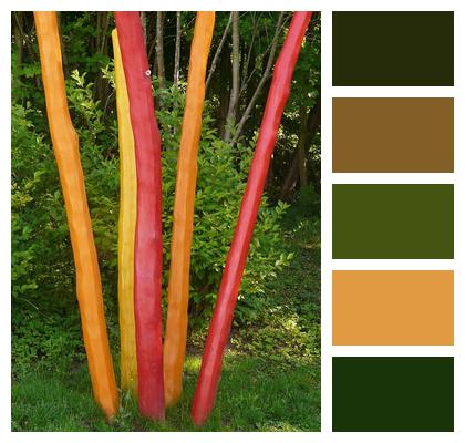 Orange Colorful Rods Painted Rods Wood Artwork Multicoloured Yellow Red Image